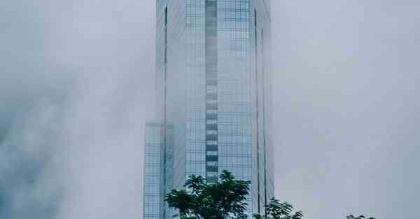 神龟加速器海外版,国际加速器