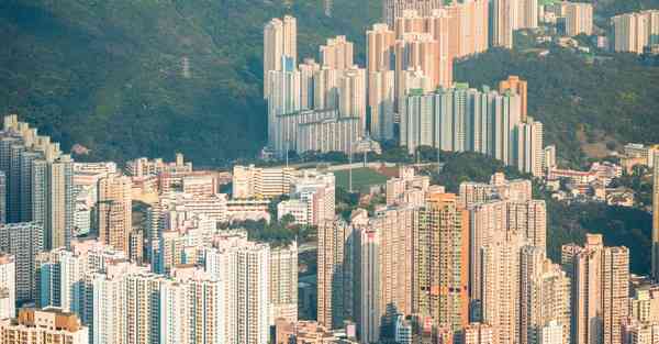 求免费的安卓梯子软件